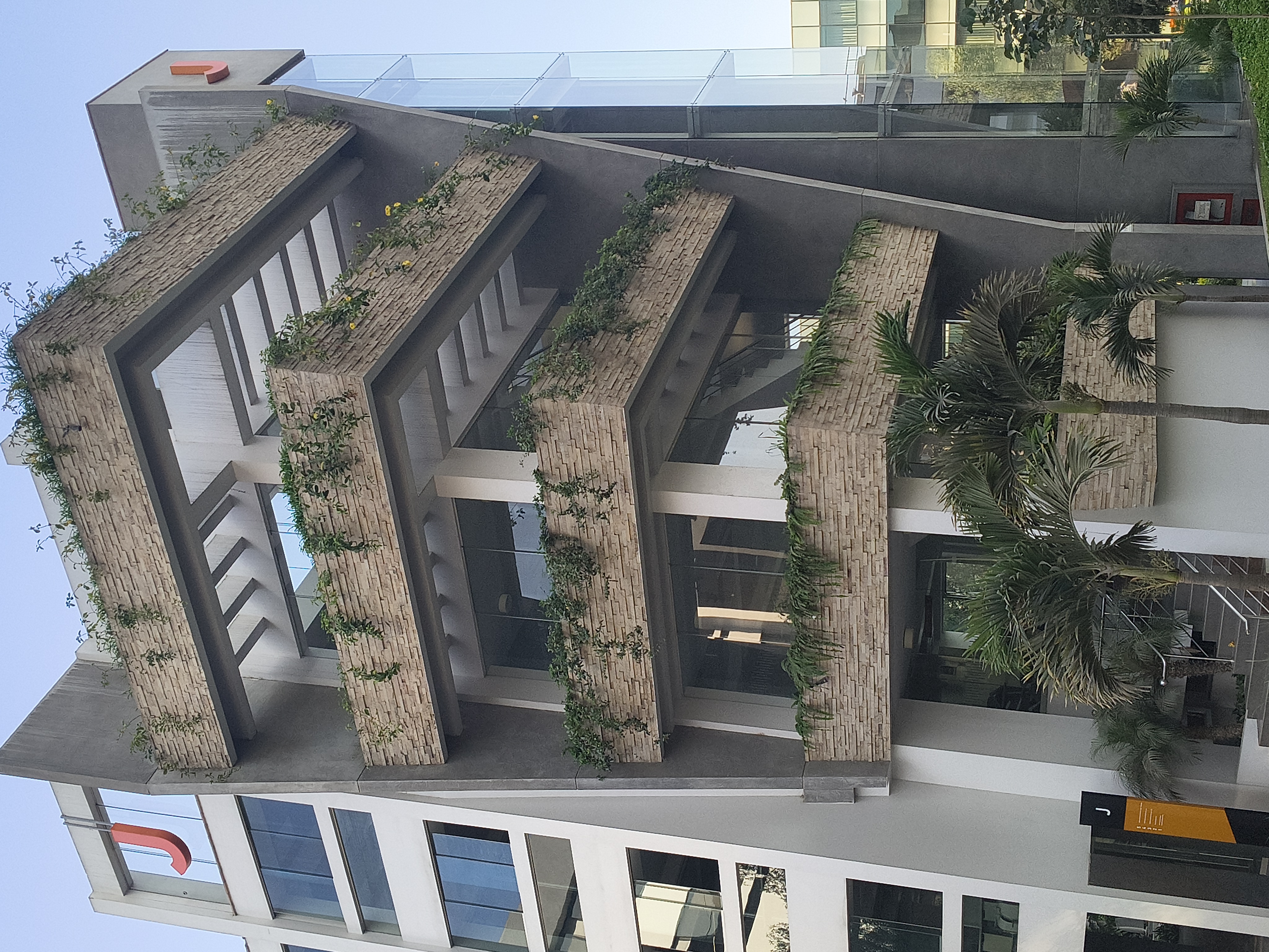 JARDINES VERTICALES